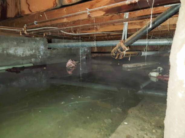 Carpet water damage restoration in Great Falls Crossing, VA